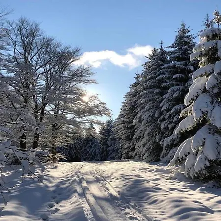 Large In The Beautiful Sauerland With Garden, Patio And Sauna * Erndtebrück