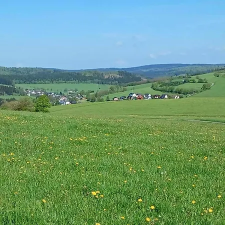 Large In The Beautiful Sauerland With Garden, Patio And Sauna شقة