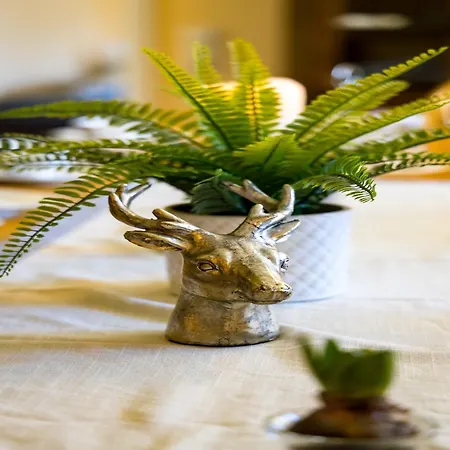 Large In The Beautiful Sauerland With Garden, Patio And Sauna