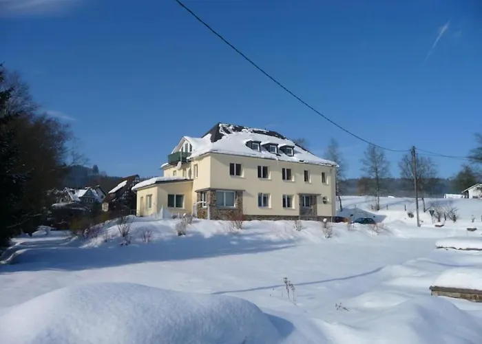 Lägenhet Large In The Beautiful Sauerland With Garden, Patio And Sauna *