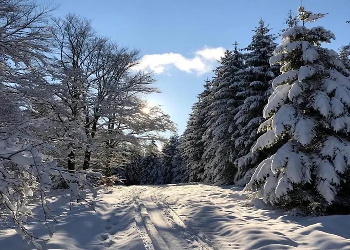 Large In The Beautiful Sauerland With Garden, Patio And Sauna * Erndtebrück