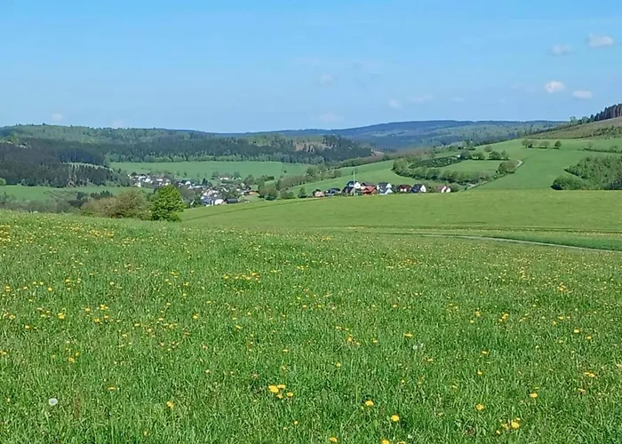 Large In The Beautiful Sauerland With Garden, Patio And Sauna Lägenhet