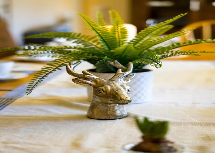 Large In The Beautiful Sauerland With Garden, Patio And Sauna